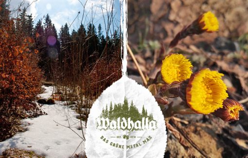 Frühlingstagundnachtgleiche