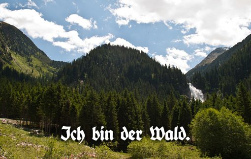 Ich bin der Wald