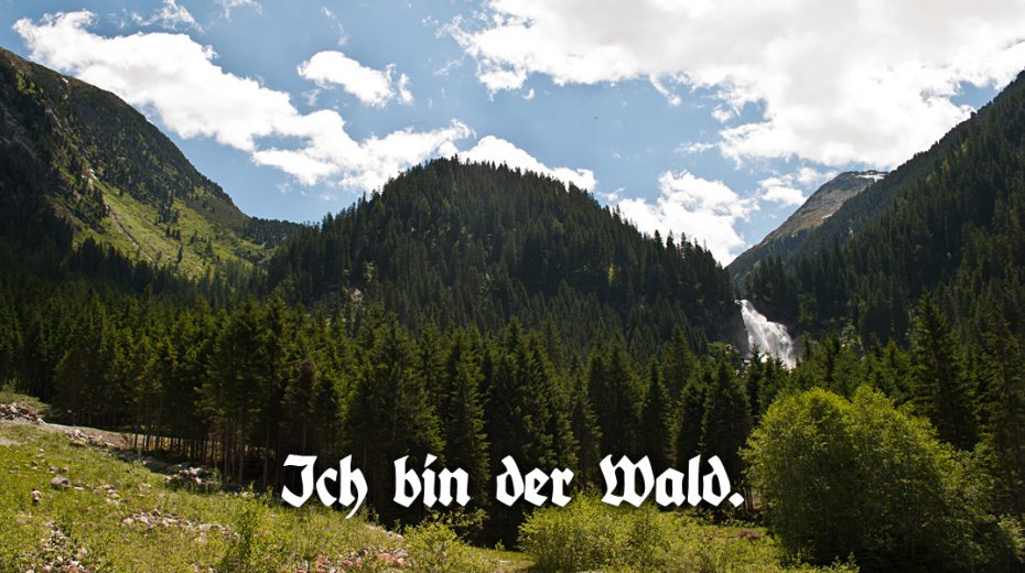 Ich bin der Wald
