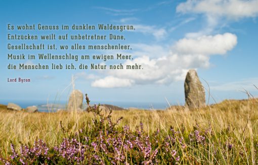 Es wohnt Genuss im dunklen Waldesgrün...