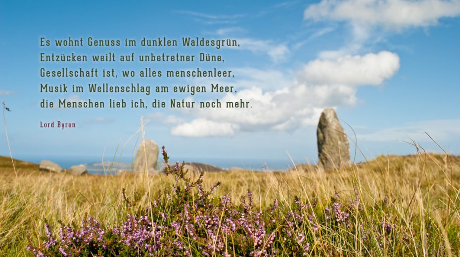 Es wohnt Genuss im dunklen Waldesgrün...