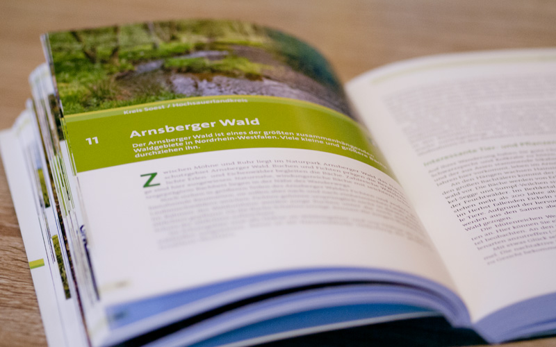 Naturschätze Südwestfalens entdecken - Innenseiten
