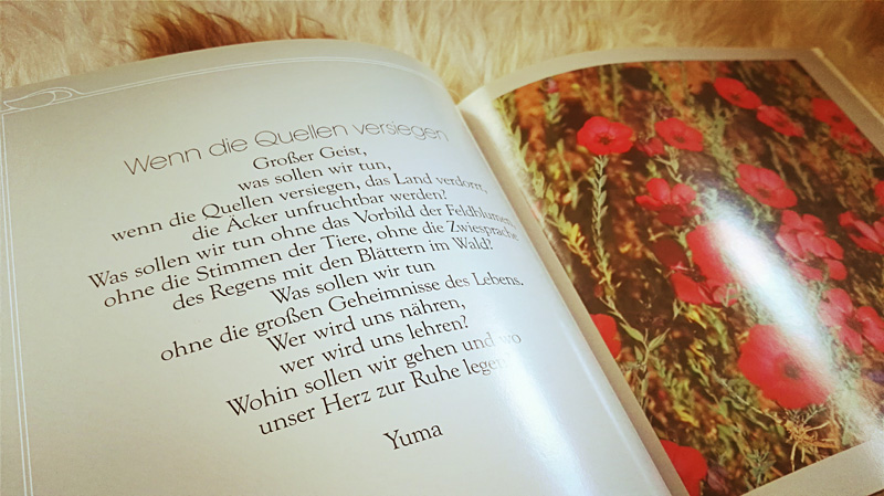 Gott, geh in meinen Mokassins