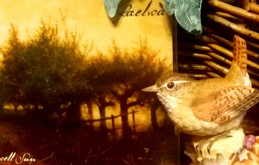 Faelwa - Farewell Sun