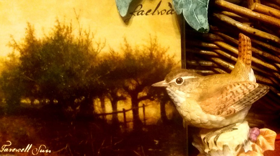 Faelwa - Farewell Sun