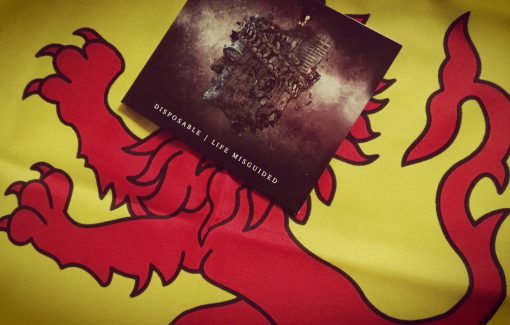 Disposable - Life Misguided