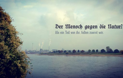 Der Mensch gegen die Natur?
