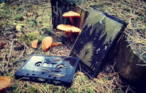 Drudenstein - Ferne Lichter, alte Geister