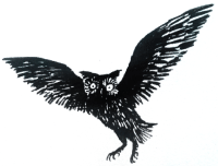 Drudenstein Illustration