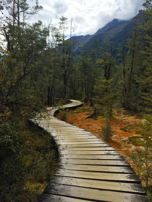 Milford Track, New Zealand