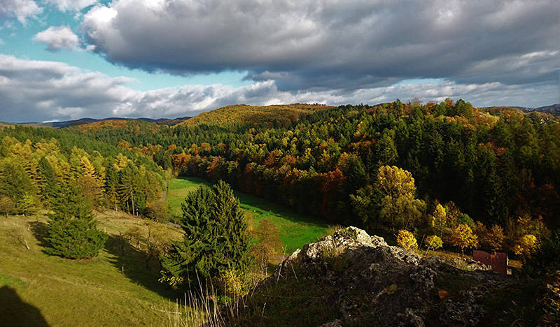Fels und Wald bei der Steinkirche in Scharzfeld
