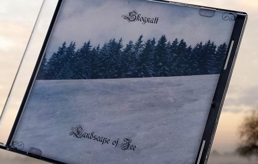 Skognatt - Landscape of Ice