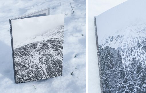 Earth and Pillars - Pillars I