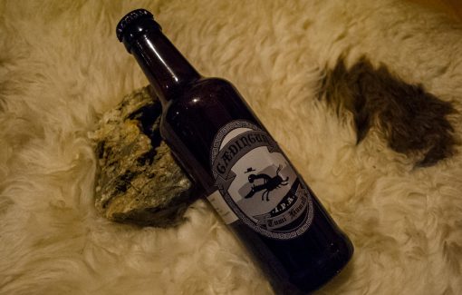 Gæðingur Tumi Humall IPA