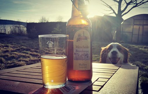Mescheder Braukessel Helles
