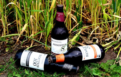 Riegele Biere - Simco 3, Augustus 8 und Noctus 100