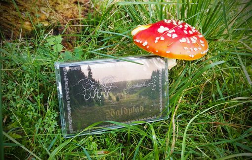 Bergwacht / Seelenlandschaft - Waldpfad