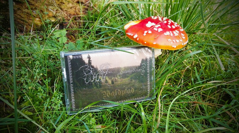 Bergwacht / Seelenlandschaft - Waldpfad