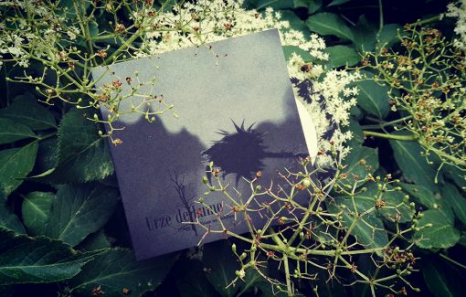 Urze de Lume - Vozes na Neblina