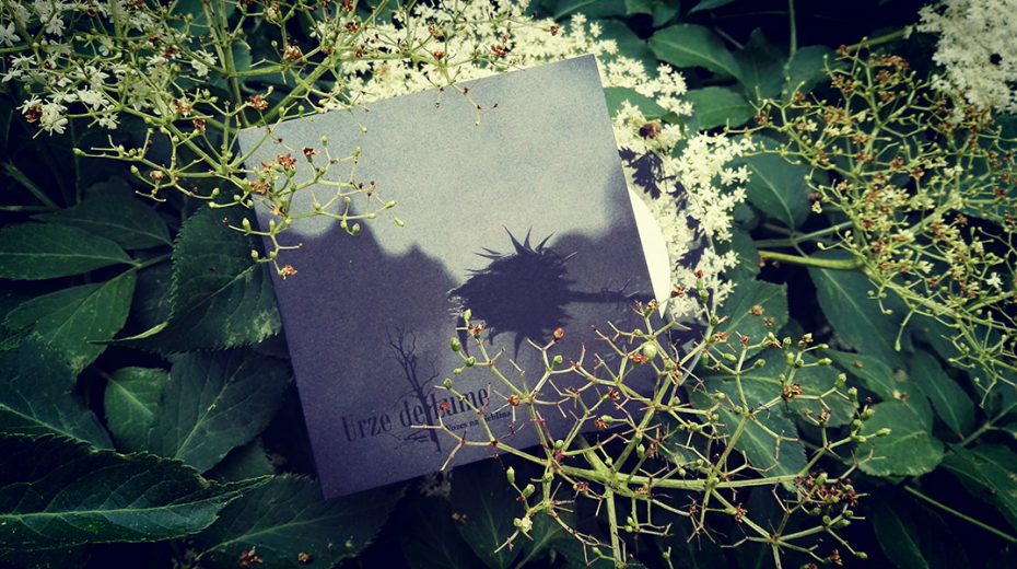 Urze de Lume - Vozes na Neblina