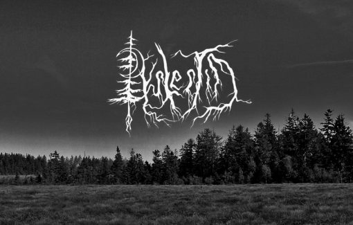 Interview mit Dystertid