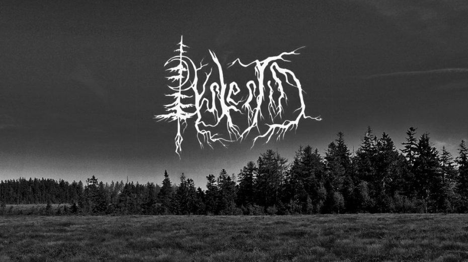 Interview mit Dystertid