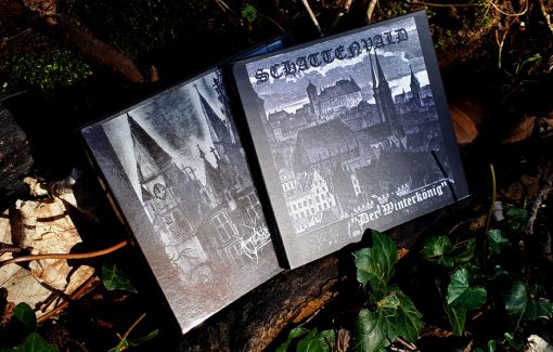 Schattenvald - IV & Der Winterkönig