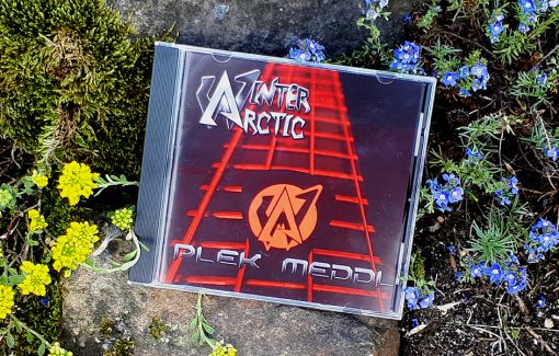 Arctic Winter - Plek Meddl
