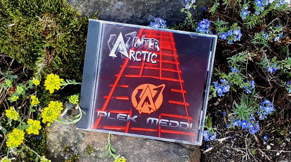 Arctic Winter - Plek Meddl