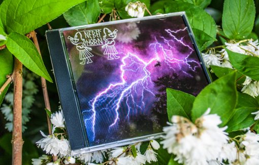 Nebelhorn - Urgewalt