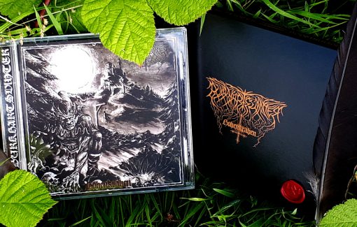 Burkhartsvinter - Hohenkrähen