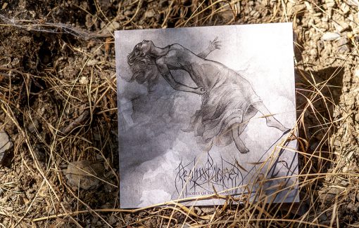 Realm of Wolves - Shores of Nothingness