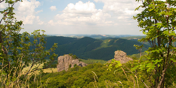 Print-Magazin-Teaser