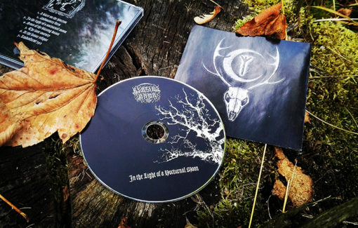 Blazing Dawn - In the Light of a Nocturnal Moon