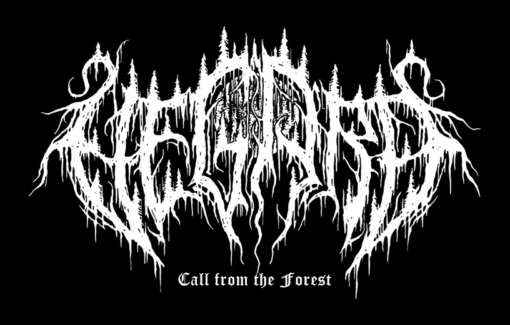 Vegard - Call from the Forest
