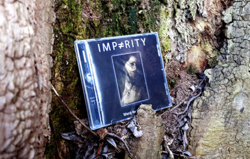Imparity - Watch the World Go By