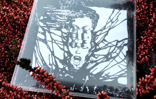 F41.0 / Ygramvl - Malintegrigo