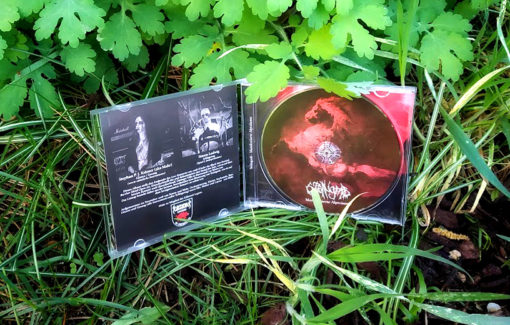 Steingrab - Manifestierte Alpträume