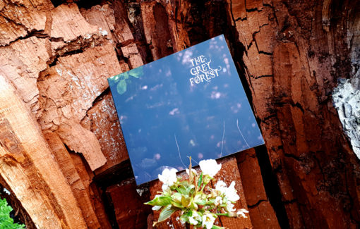 The Grey Forest - The Grey Forest
