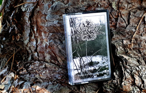 Waldseel - Visions of a Destructive Revelation