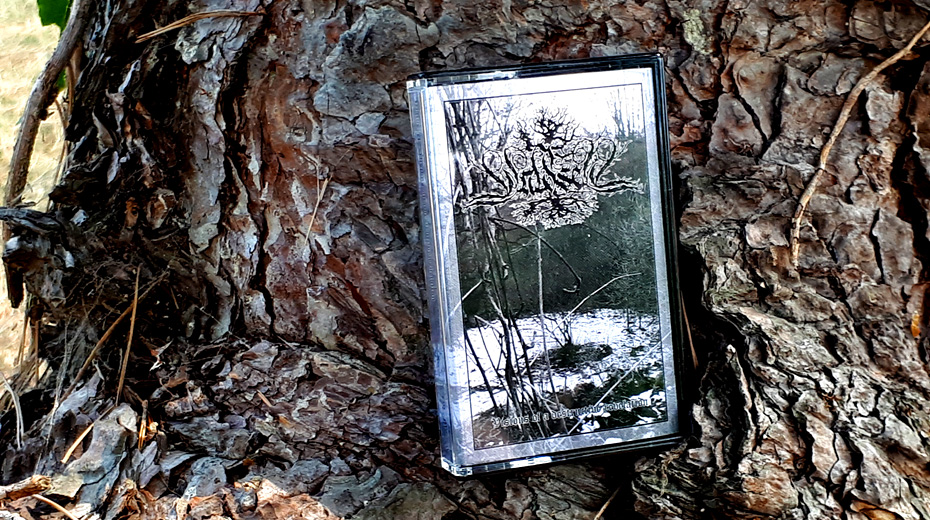 Waldseel - Visions of a Destructive Revelation