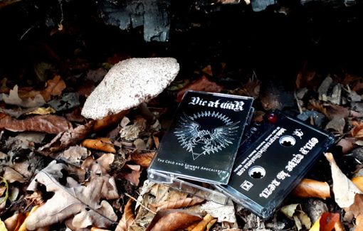 D.A.W. - The Cold and Sombre Apocalyptic Wind