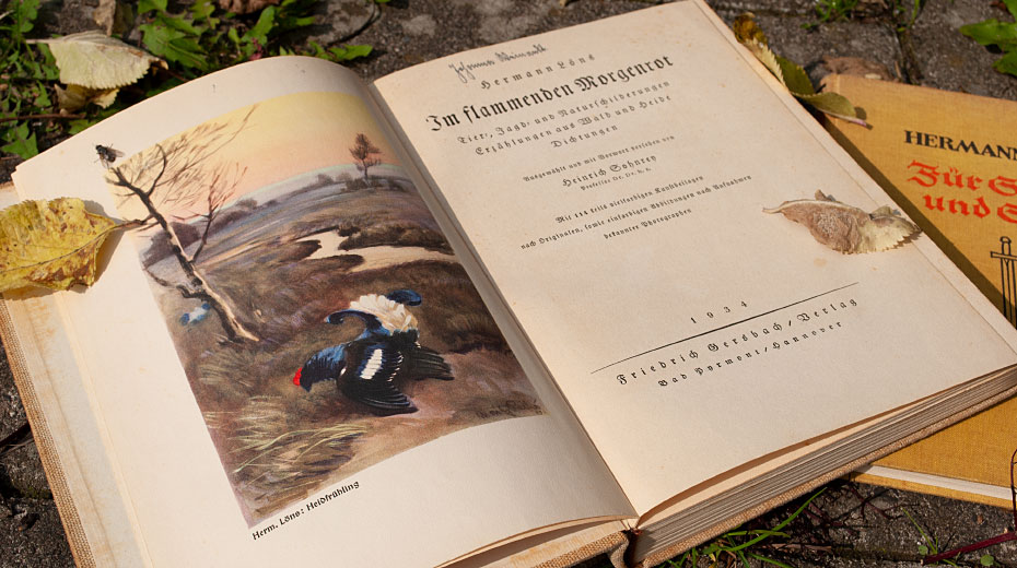 Im flammenden Morgenrot