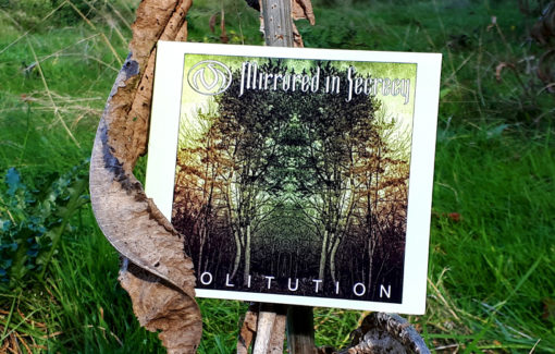 Mirrored in Secracy - Solitution