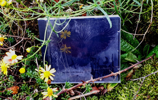 Viznat - Von fernher in den Untergang