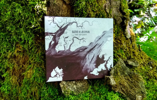 Mirror of Deception - The Estuary