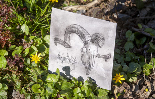 Realm of Wolves - Into the Woods of Oblivion