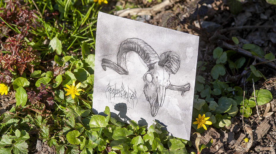 Realm of Wolves - Into the Woods of Oblivion