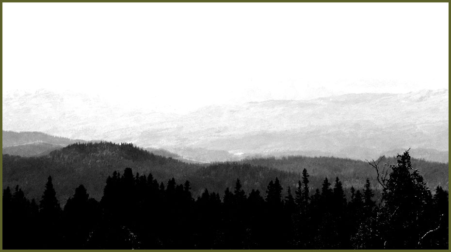 Into the Mighty Forest Part I