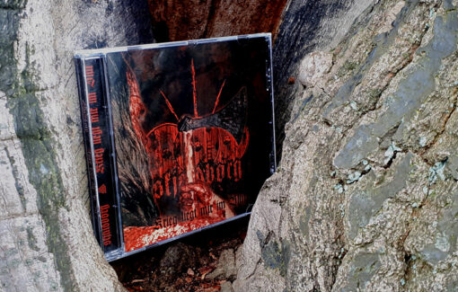 Skjaldborg - Krieg liegt mir im Blut